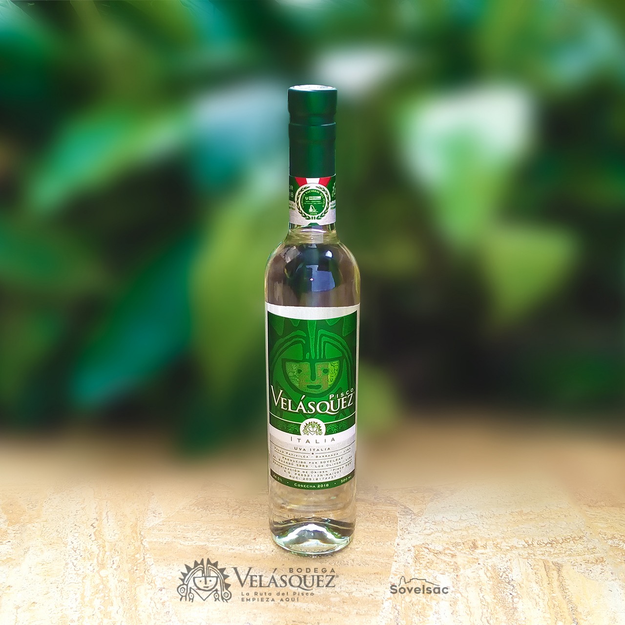 Pisco Italia